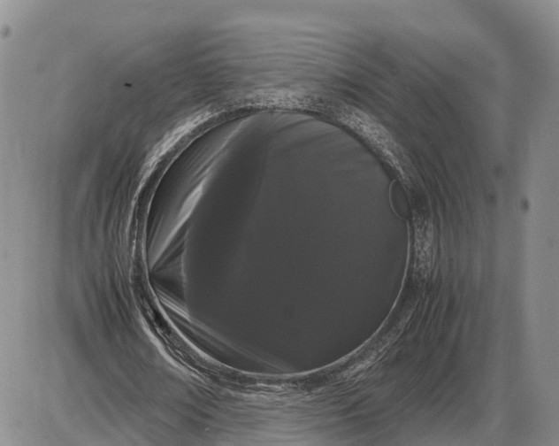 X0000085050674200703191259