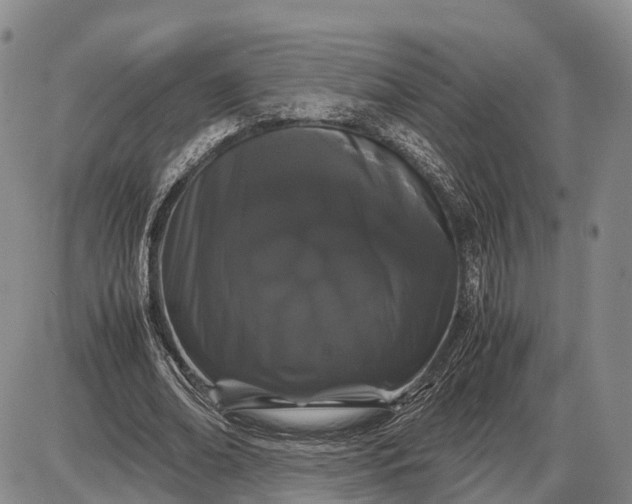 X0000085050678200703191259