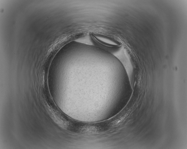 X0000085050685200703191259