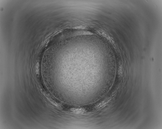 X0000085050689200703191259