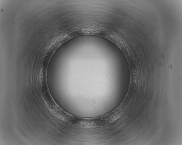 X0000085050690200703191259