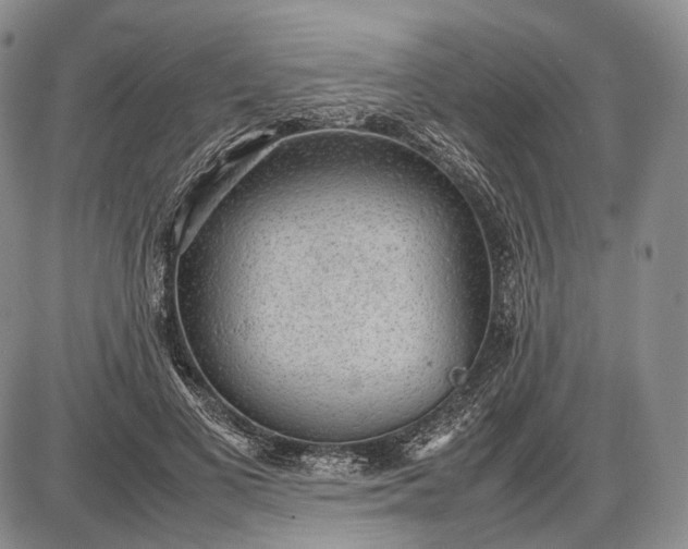 X0000085050693200703191259