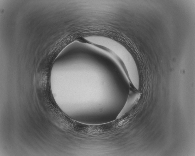 X0000085050697200703191259