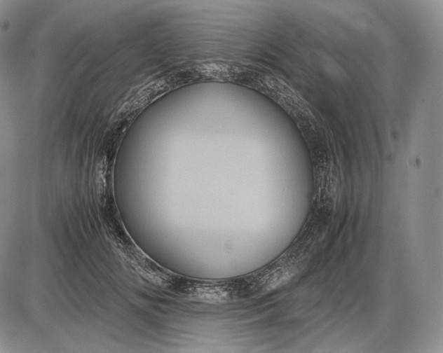 X0000085050702200703191259