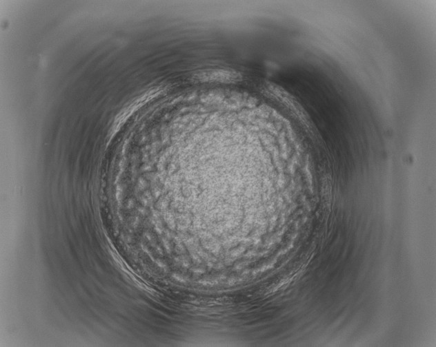 X0000085050725200703191258