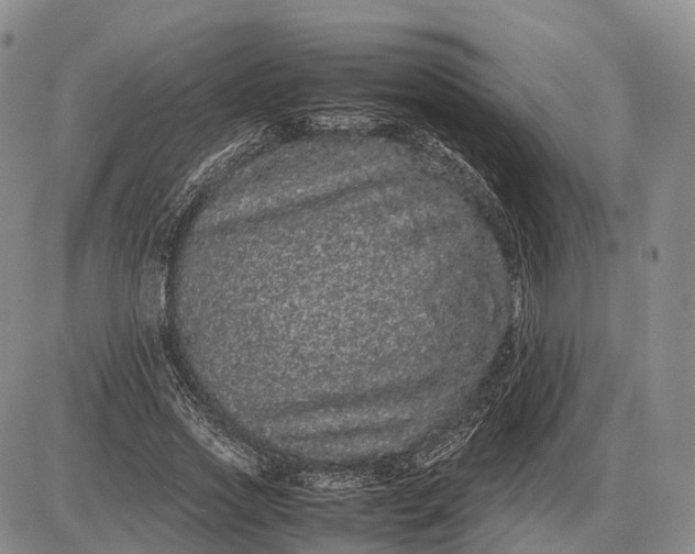 X0000085050733200703191258
