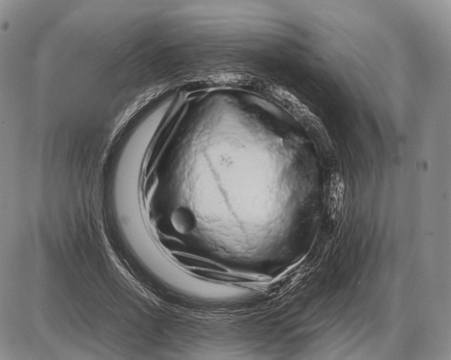 X0000085050734200703191258