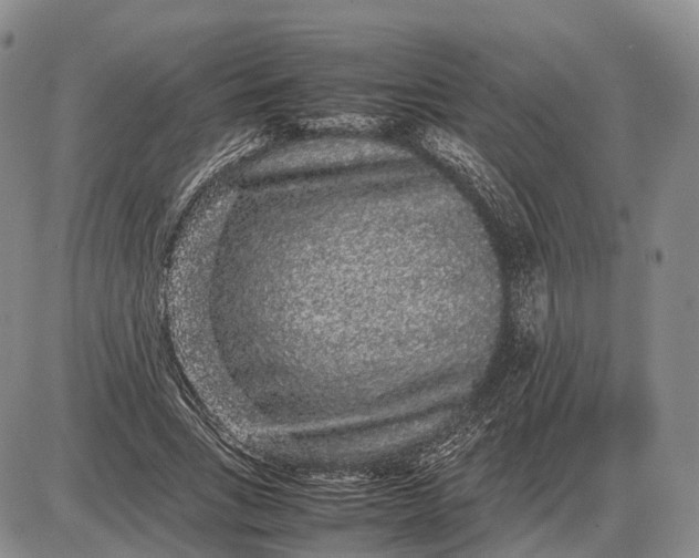 X0000085050735200703191258