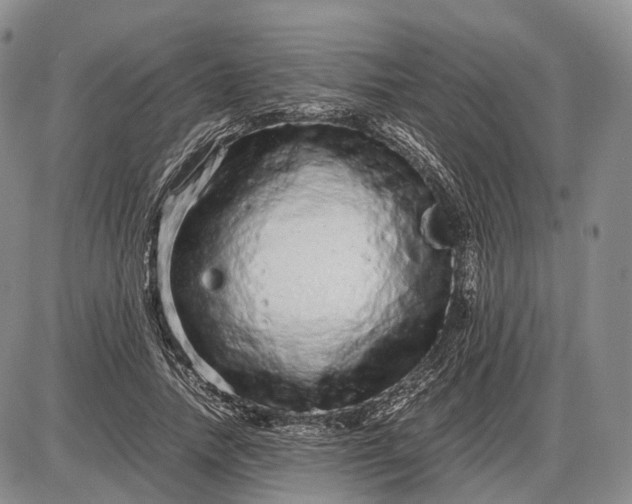 X0000085050738200703191258
