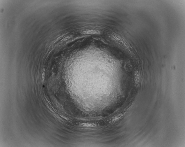 X0000085050741200703191258
