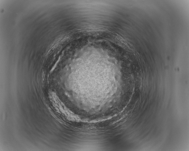 X0000085050742200703191258
