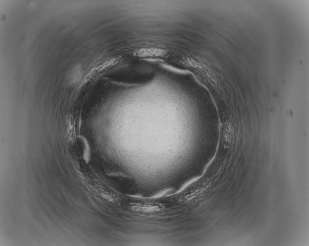 X0000085050743200703191258