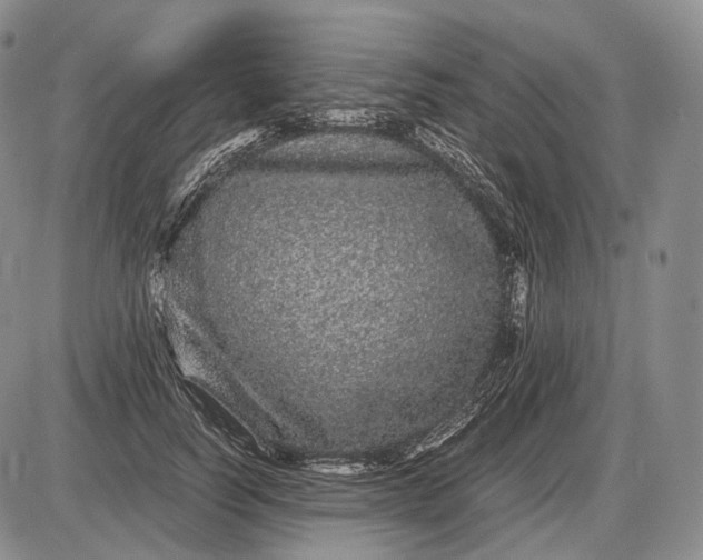 X0000085050746200703191258