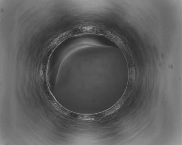 X0000085050754200703191258
