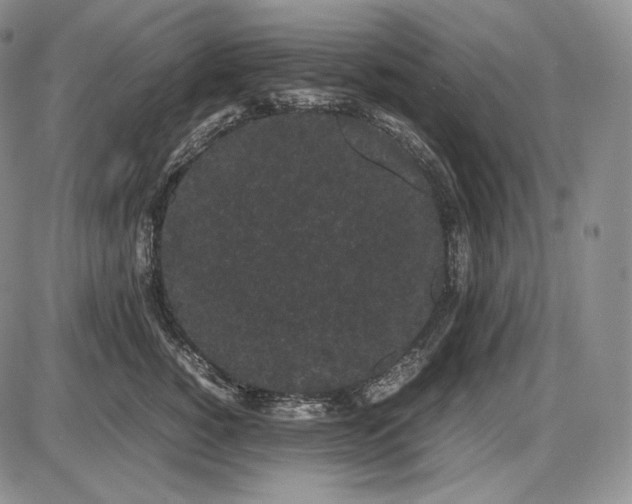 X0000085050760200703191259