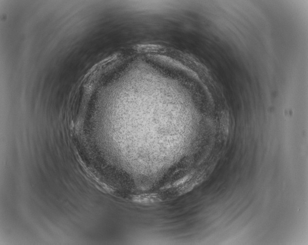 X0000085050761200703191259