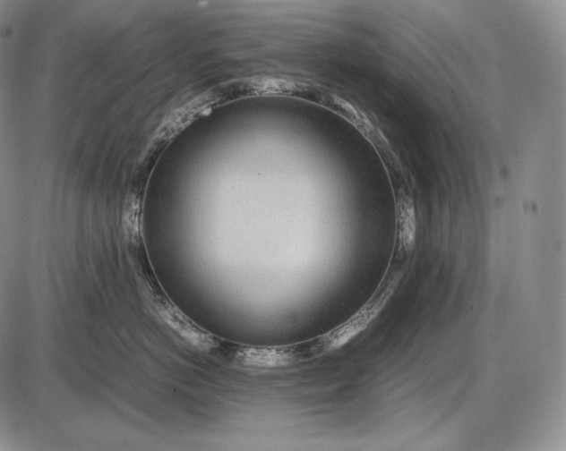 X0000085050766200703191259