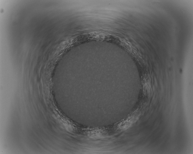 X0000085050769200703191258