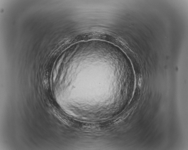 X0000085050771200703191258