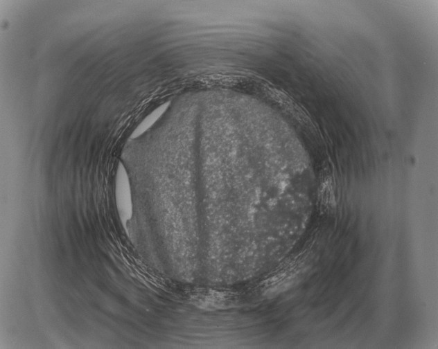 X0000085050772200703191258