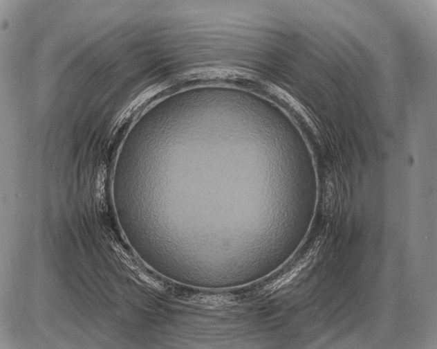 X0000085050778200703191258
