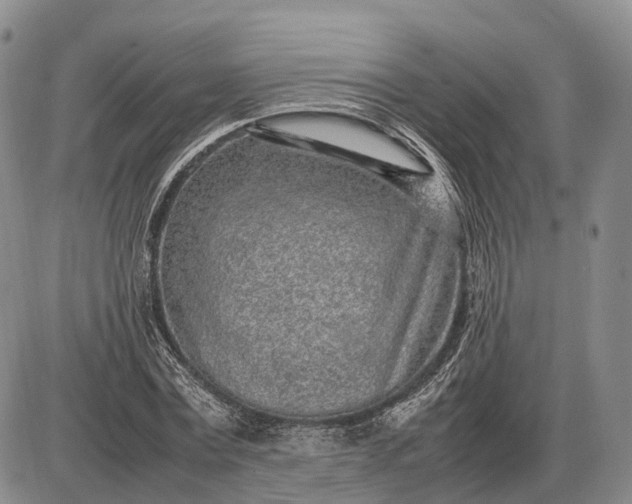 X0000085050779200703191258