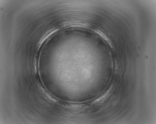X0000085050782200703191258
