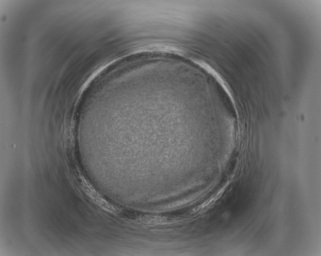 X0000085050783200703191258