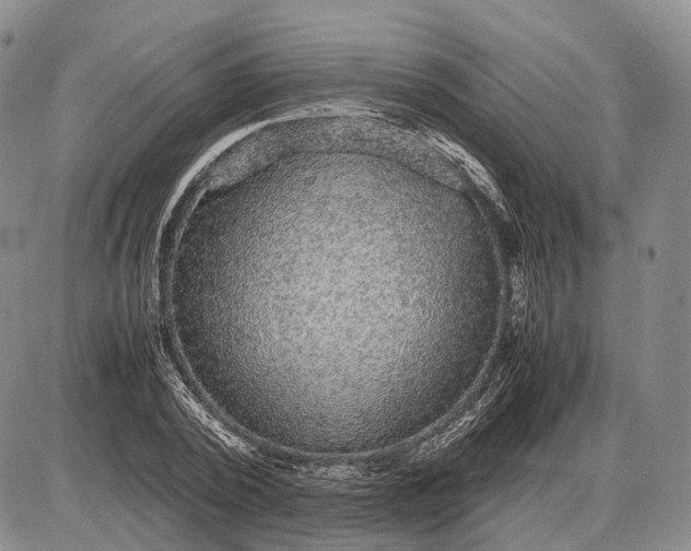 X0000085050784200703191258
