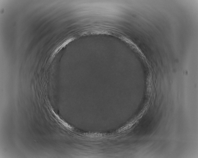 X0000085050785200703191258