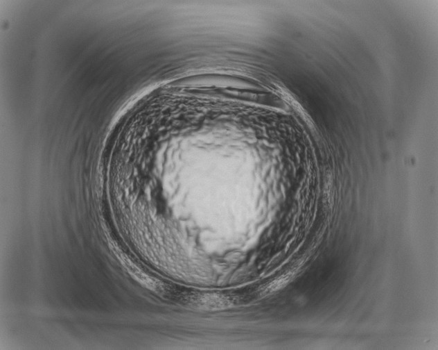 X0000085050787200703191258