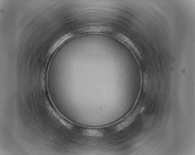 X0000085050794200703191257