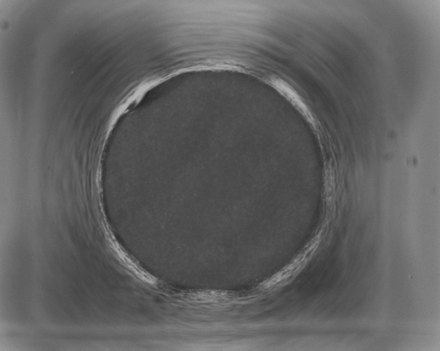 X0000085050797200703191257