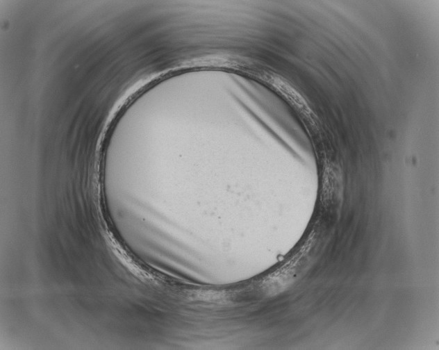 X0000085050800200703191257