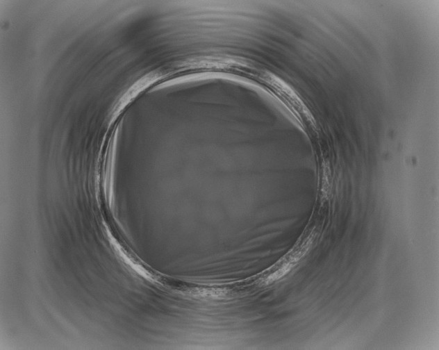 X0000085050802200703191257