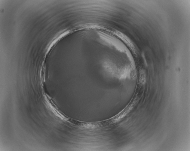 X0000085050806200703191257