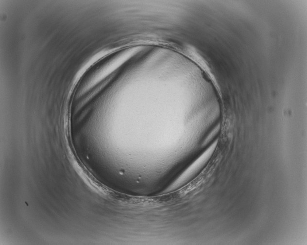 X0000085050811200703191257
