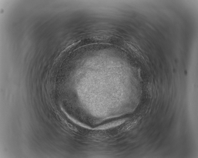 X0000085050817200703191256