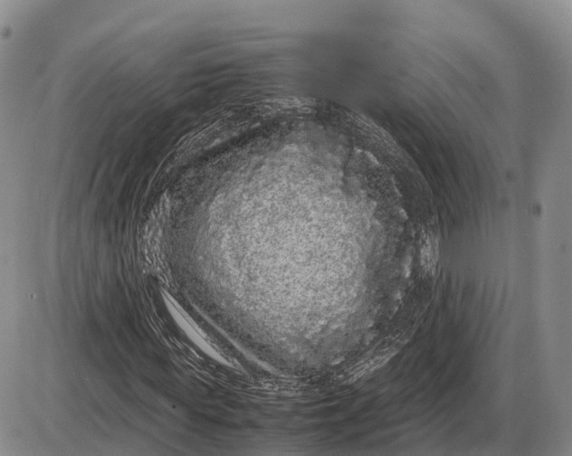 X0000085050819200703191256