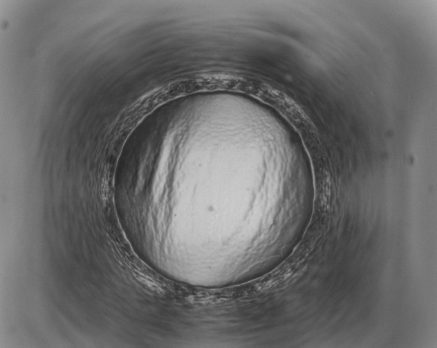X0000085050821200703191256