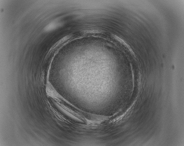 X0000085050825200703191256