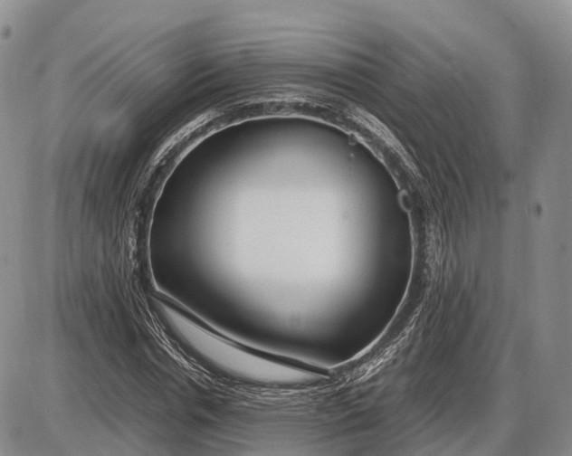 X0000085050826200703191256