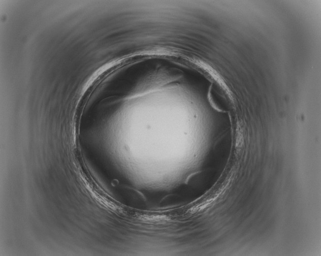 X0000085050837200703191257