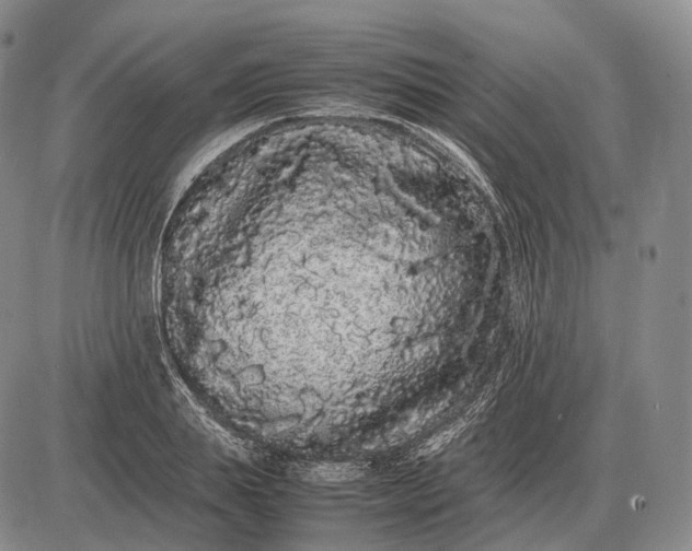 X0000085050839200703191257