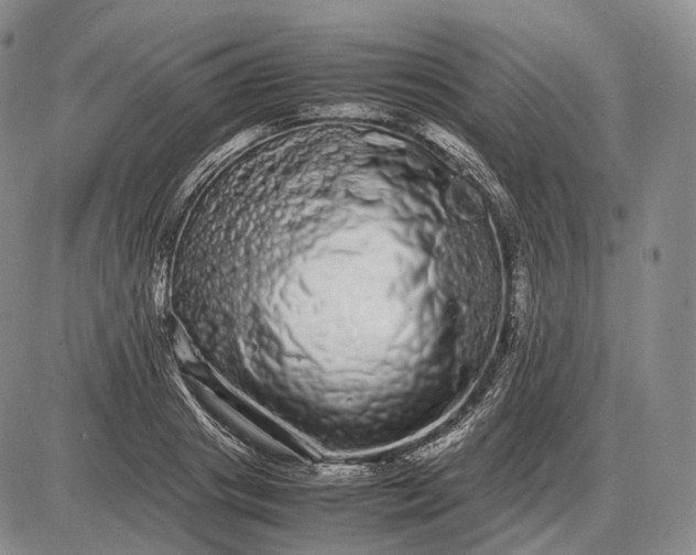 X0000085050841200703191257