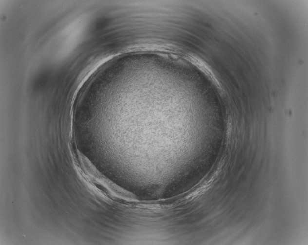 X0000085050844200703191257
