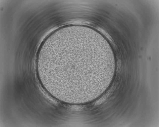 X0000085050848200703191257