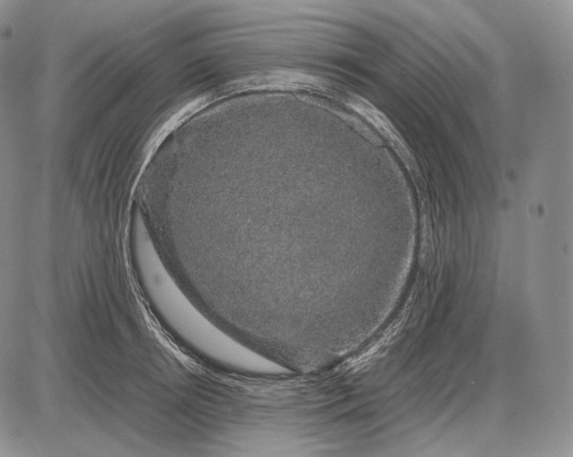 X0000085050850200703191257