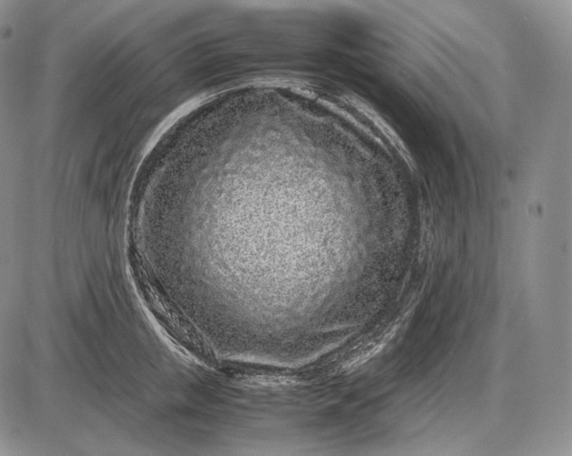 X0000085050853200703191257