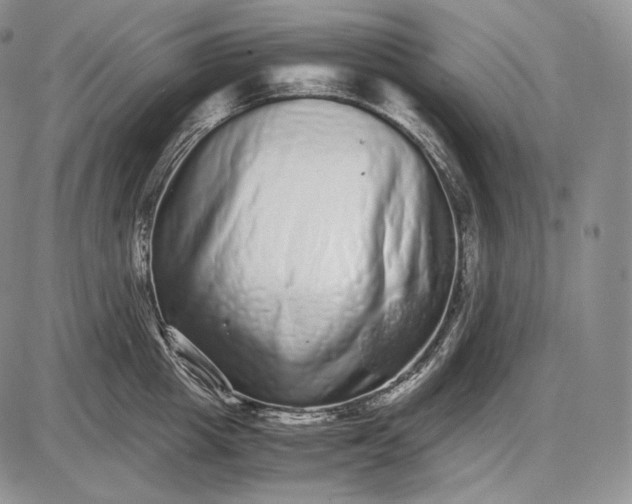 X0000085050857200703191257